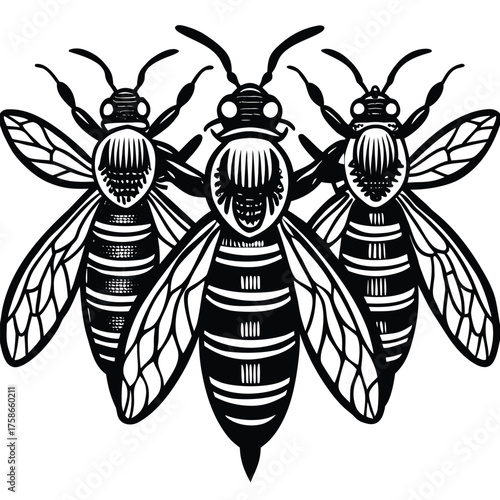 three honeybees resting side by side.eps