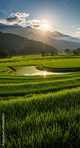 Sunrise over Lush Green Rice Paddies with Mountains and Sunbeams