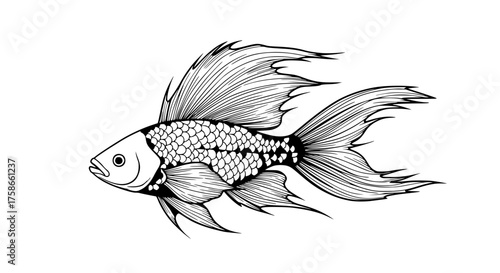 vector illustration of a fish