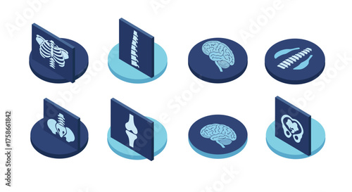 Isometric medical icons set featuring anatomy and health symbols in blue tones