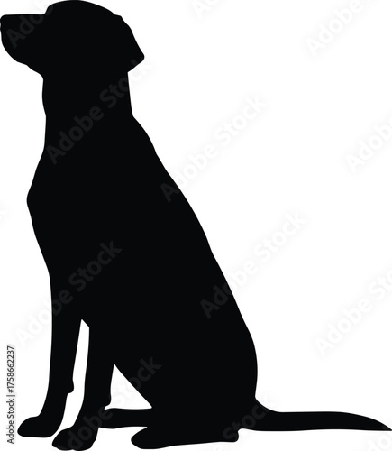Minimal black dog silhouette sitting relaxed on hind legs, tail extended, elegant pet logo concept, vector animal icon for branding