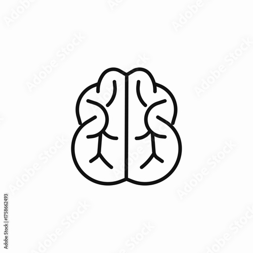 human brain outline icon sign vector