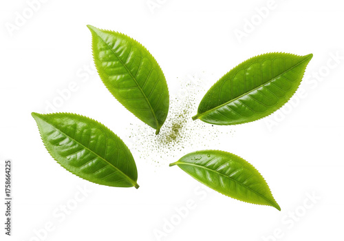 Green tea leaves scattered with powder image isolated on a transparent background