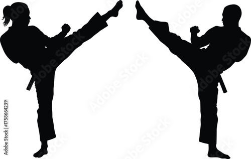Martial arts training, high kick silhouette, karate sparring pose, taekwondo practice, discipline and strength, traditional uniform, dynamic movement, combat technique