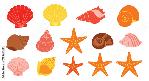 A vibrant collection of seashells and starfishes in various shapes and colors found on the beach.