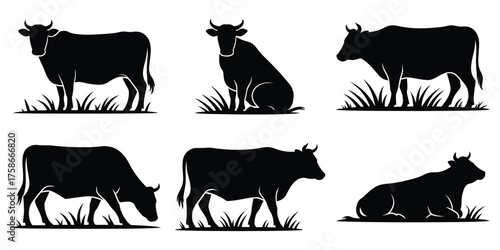 Agricultural and Veterinary Graphics
