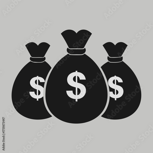 money bag with money