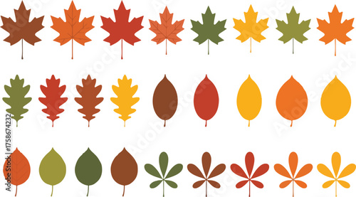 Orange and Red Autumn Leaves fall, leaves, collection, set, orange, red, yellow,