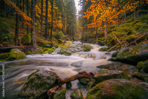 Fantasy and dark forest during a foggy morning with the best mystic atmosphere in the north of Bohemia, in Jizera mountains. View like from a fairy tale with pure water rivers and magic waterfalls.