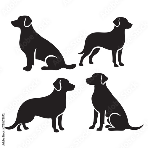 Black and white dog illustration