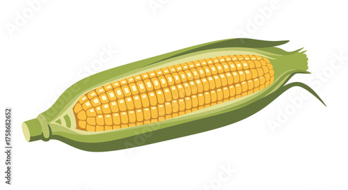 A ripe ear of yellow corn is shown in its green husk.