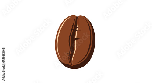 A single brown coffee bean shown isolated on a white background.