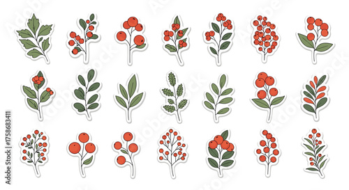 A collection of delicate watercolor illustrations featuring various botanical elements including leaves and berries in earthy tones.
