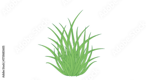 A clump of vibrant green grass blades swaying gently in a subtle breeze.