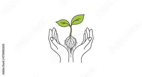 Two hands gently cradling a small plant with roots visible.