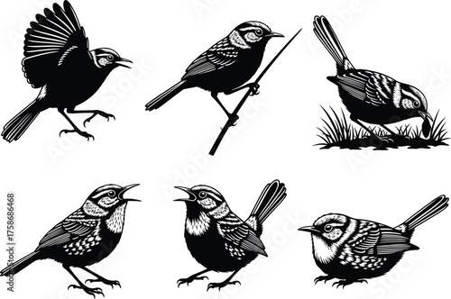 Black bird silhouette illustration set, songbird vector collection, flying and perched small birds, detailed wildlife graphic, nature design, white background