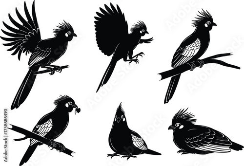 Black bird silhouette set, six different crested birds sitting and flying on branches, isolated vector illustration, wildlife design, nature art collection, white background