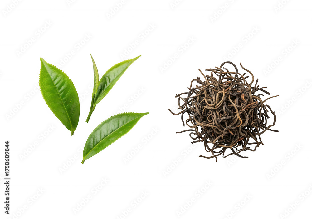 Fototapeta premium Green leaves dried tea herbal isolated on a transparent background