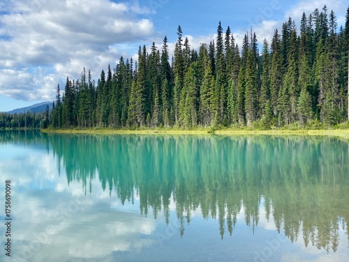 lake and forest, reflected into the water, Canada