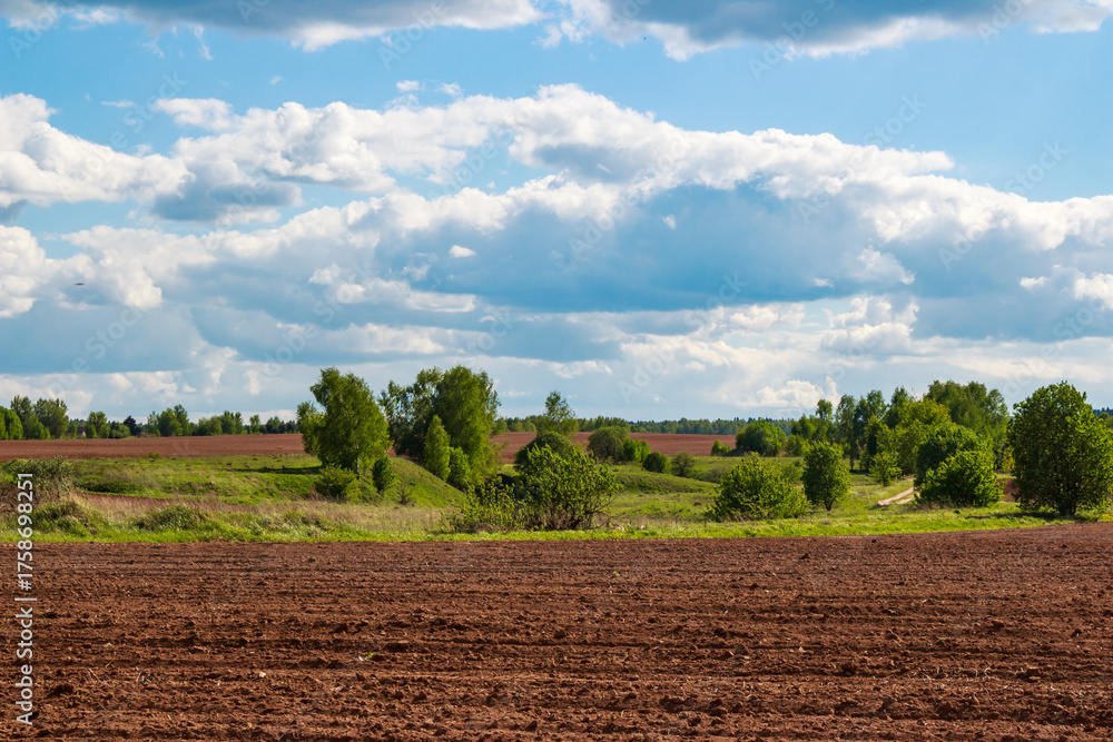 Obraz premium Freshly tilled fertile land stretches under a vast sky adorned with fluffy clouds. A distant line of trees and green hills adds a serene rural vibe