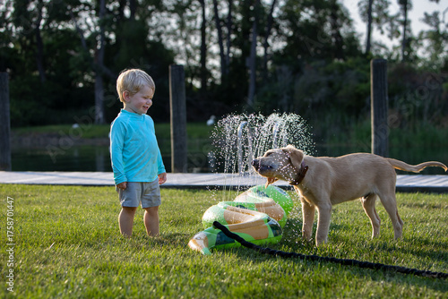 Child watching his dog playing in a sprinkler