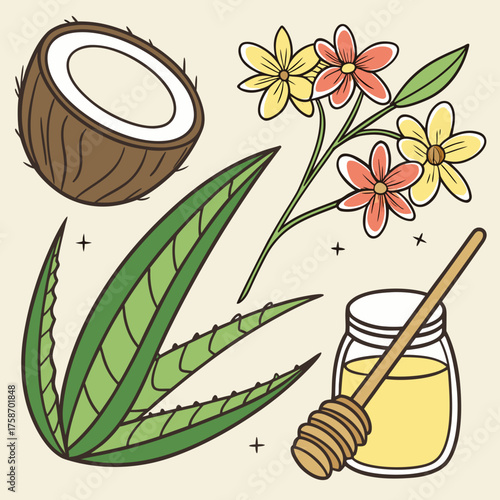 Illustration of natural ingredients for beauty products