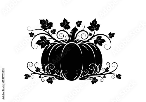 Close up image of a black insect with intricate details on a white background