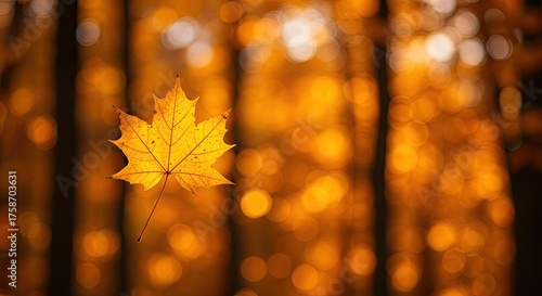 Golden autumn maple leaf gracefully floats against a soft bokeh background of warm amber and brown forest hues, evoking a sense of seasonal beauty and natural tranquility.