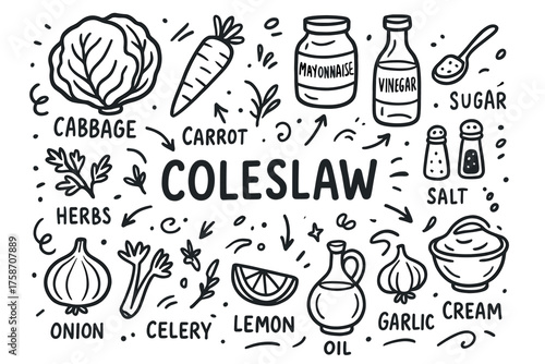 Coleslaw ingredients illustration: cabbage, carrot, mayonnaise, vinegar, herbs