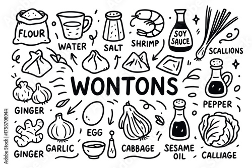 Wonton ingredients illustrated: flour, shrimp, scallions, cabbage, soy sauce