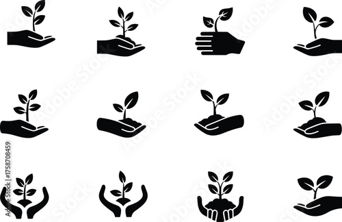 Hand holding plant, nature care icon, environmental silhouette, growth symbol, ecology graphic, black vector, nurturing design