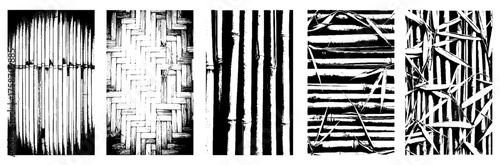 Collection of five vector patterns featuring bamboo textures with woven bamboo mats, vertical stalks and leaves