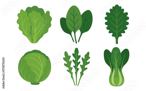 Vibrant collection of fresh leafy greens: spinach, lettuce, and more
