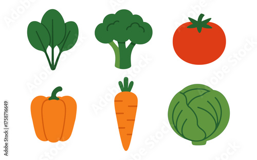 Colorful flat design of fresh vegetables: spinach, tomato, broccoli, pepper, carrot, cabbage