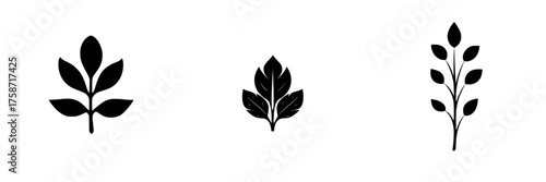 Black leaf silhouettes arranged in a row displaying various shapes and styles suitable for design purposes