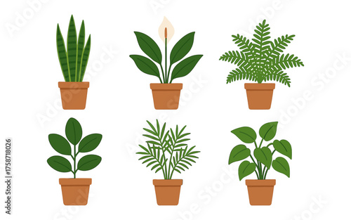 Collection of potted houseplants in minimalist flat design