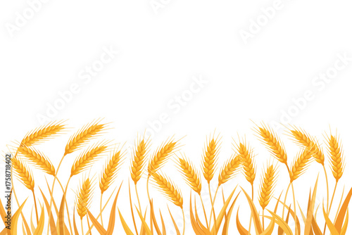 Golden wheat stalks with green stems against a white background