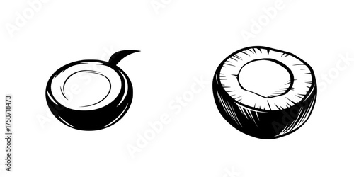 Illustrations of coconut halves showcasing the inner and outer textures in a minimalist style