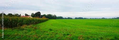 Fototapeta samoprzylepna Piękna panorama zielonego pola we wsi, z domem po lewej i lisem biegnącym po polu, w tle drzewa tworzące spokojny krajobraz.
