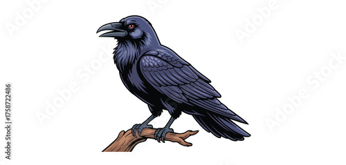 A detailed illustration of a black raven perched on a branch against a white background
