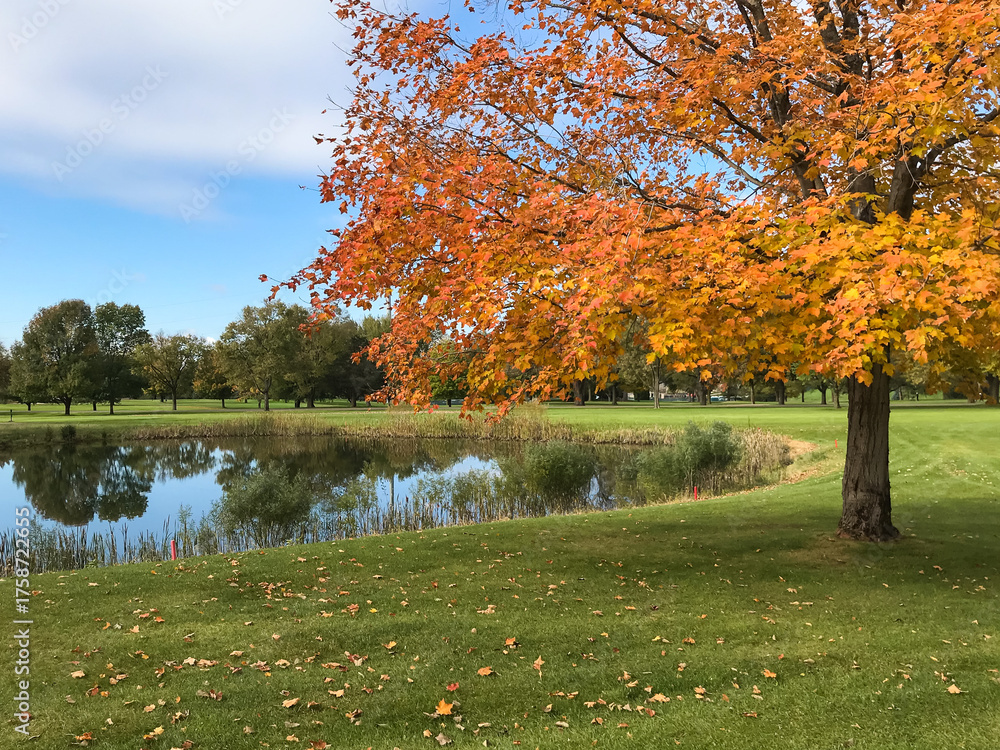 Obraz premium Golf Course in the Fall with Autumn Colored Leaves