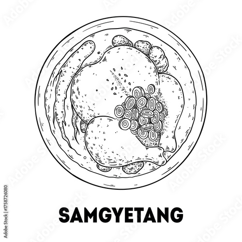 Samgyetang chicken soup sketch. Korean food. Hand drawn vector illustration. Top view.