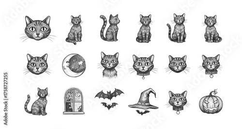 Halloween cats and elements in black and white drawing style