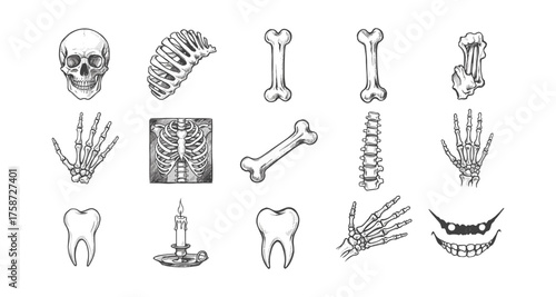 Hand drawn anatomical skeleton elements with a halloween theme