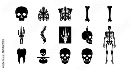 Collection of skeleton and bone icons in silhouette style for medical and halloween themes