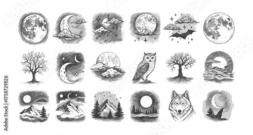 Monochrome moonlight collection: nature, wildlife, and nighttime scenes in black and white