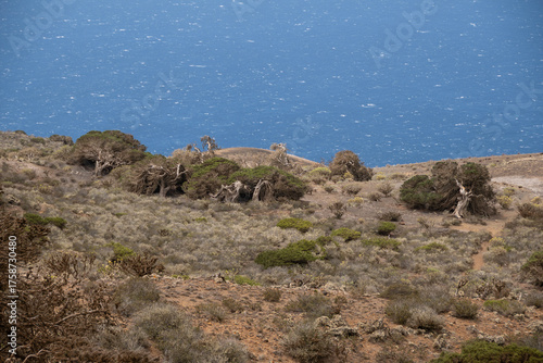 Paisaje costero desde el Sabinar de la isla de El Hierro