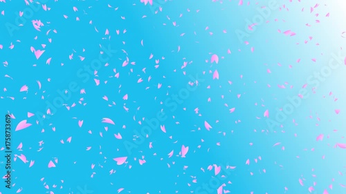 Bunch of pink cherry petals falling down from top to bottom on light blue gradient background while the camera moving backward. Abstract background with a scene of Spring time in Japan.