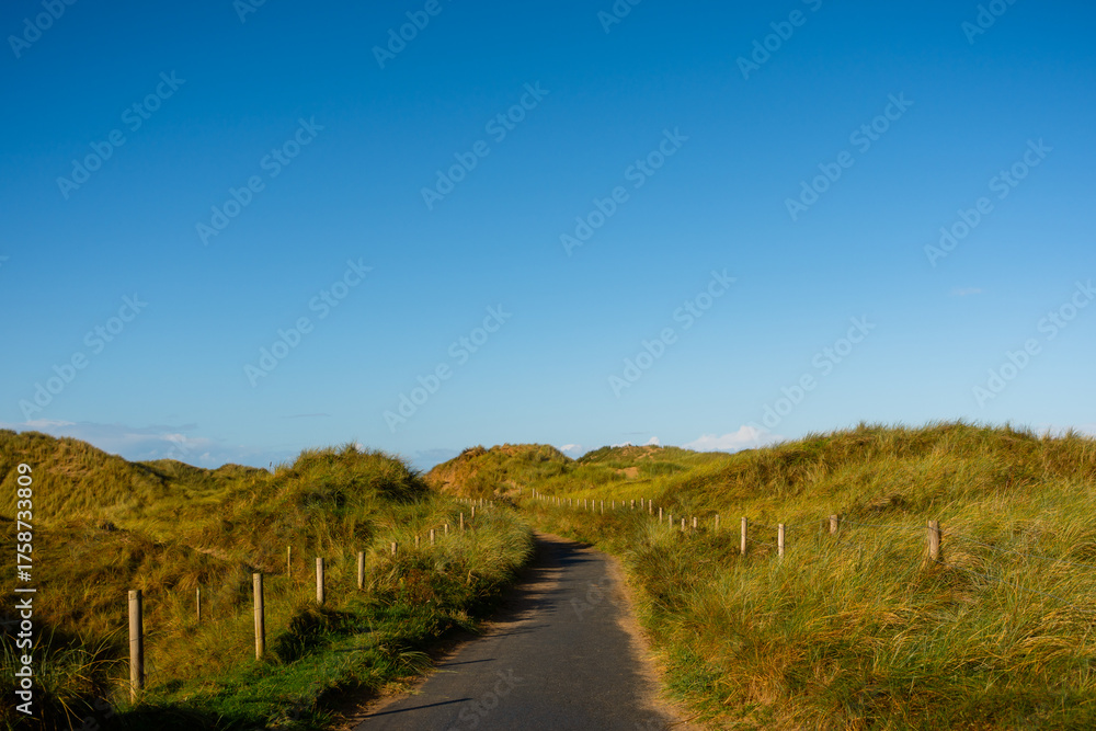Fototapeta premium Path through Coastal Sand Dunes under Clear Blue Sky, Wales