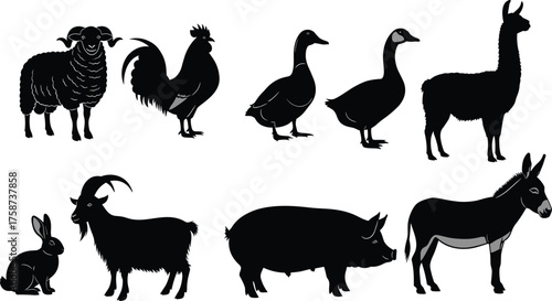 Farm animal silhouettes, sheep, rooster, duck, goose, llama, rabbit, goat, pig, donkey, agriculture, livestock, rural, farming, vector, illustration, black, shadow, domestic, countryside, design